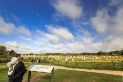 carnac